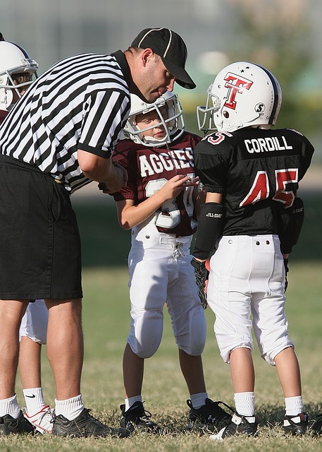 离不开谢伊 离不开谢伊