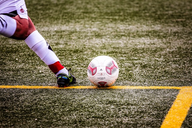 迷和媒体关 迷和媒体关