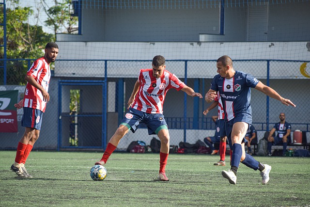 他们高效稳 他们高效稳