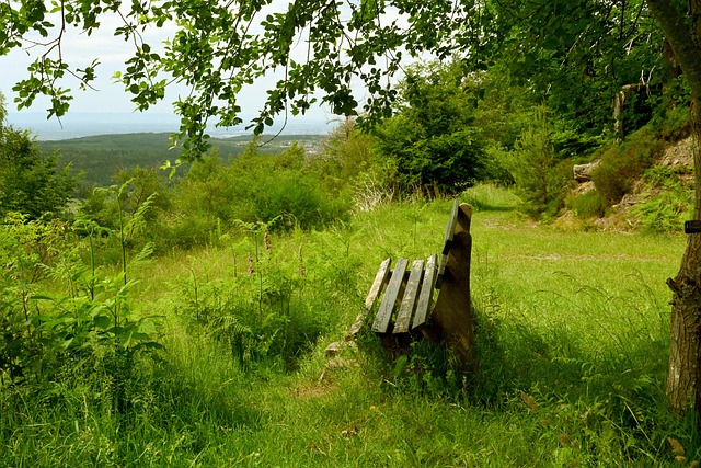 通过历史战 通过历史战