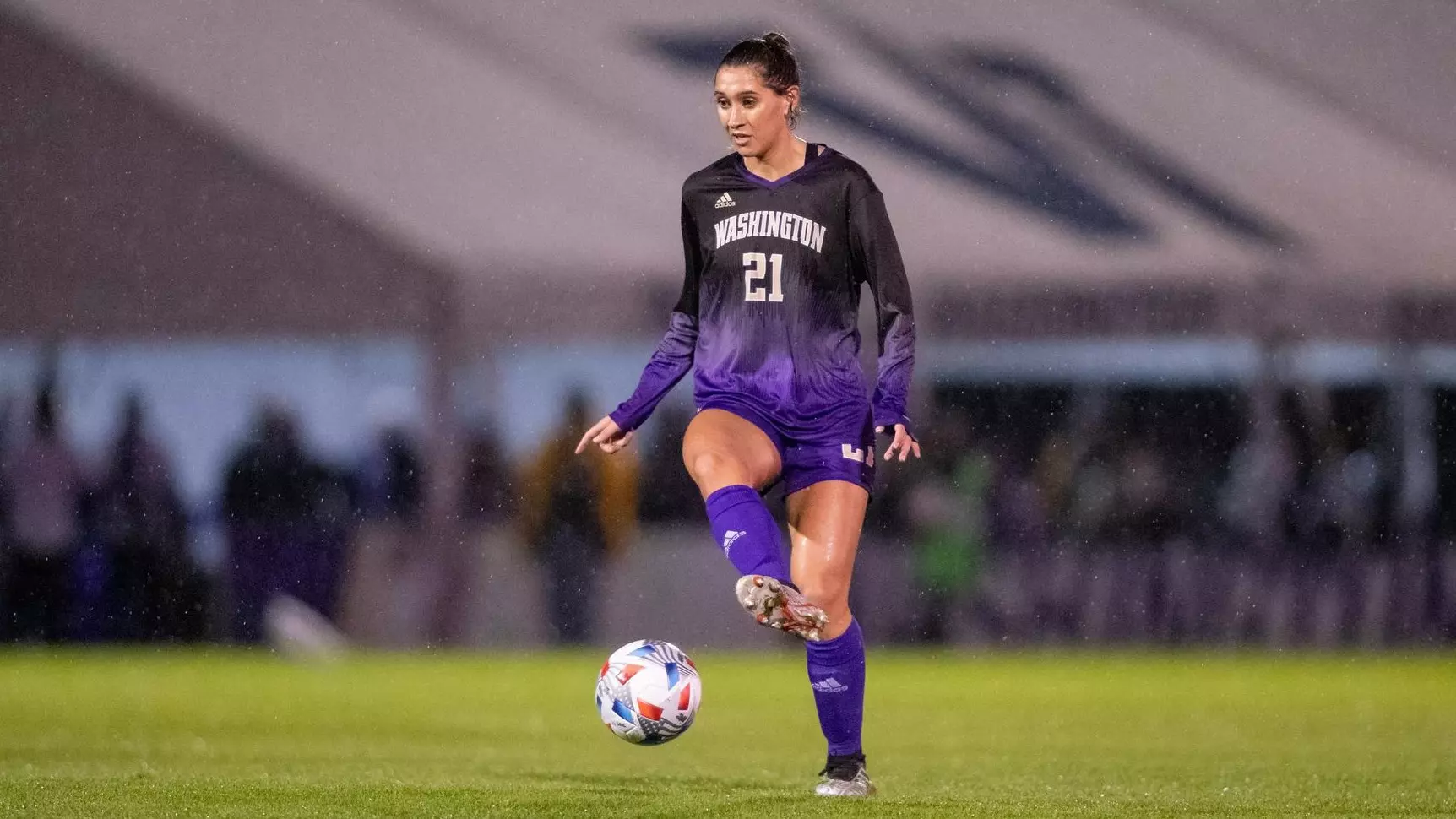 针对他的逮 针对他的逮