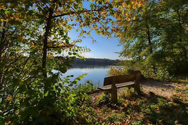 火箭队客场121：110击败爵士，巩固西部第二位置！.